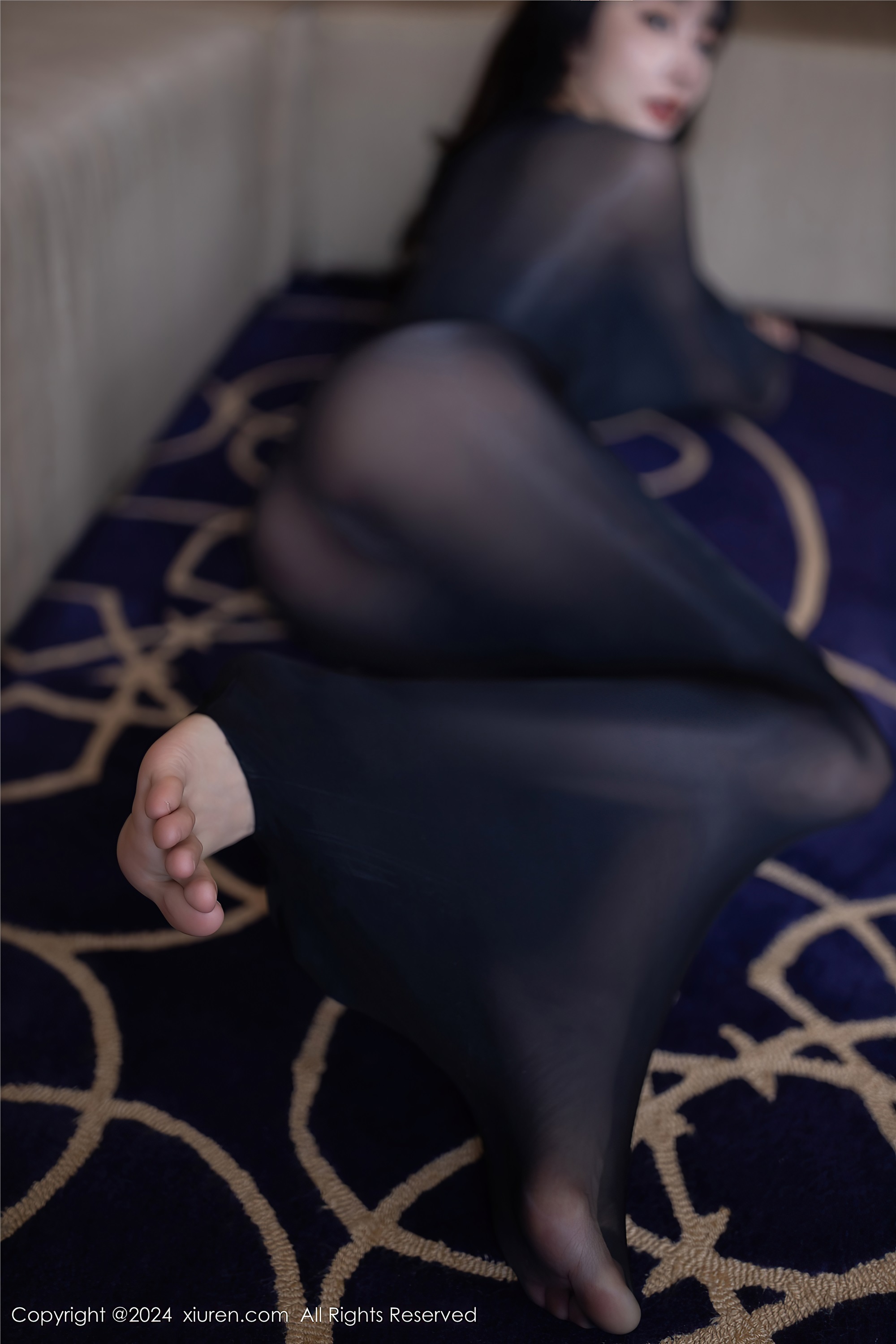 Xiuren秀人网 2024.12.12 NO.9590 陆萱萱